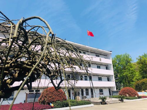 方川小学:"爱我中华,兴我方小"文艺汇演!